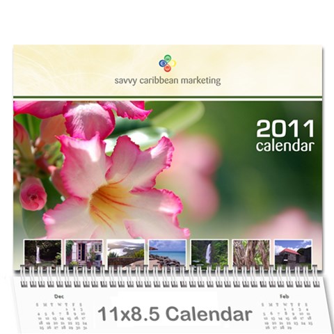 Personal Calendar By Asha Vigilante Cover