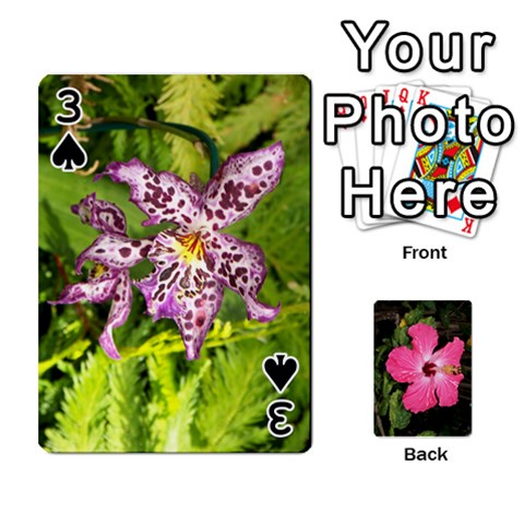 Hawaii Cards By Terri Front - Spade3