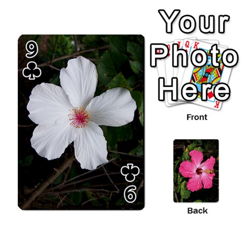 Hawaii Cards By Terri Front - Club9