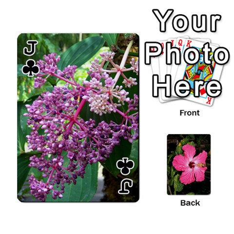 Jack Hawaii Cards By Terri Front - ClubJ