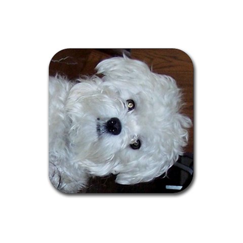 Cupcake Coaster By Sandy Foreman Front