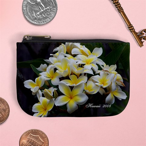 Hawaii Coin Purse 2 By Terri Front