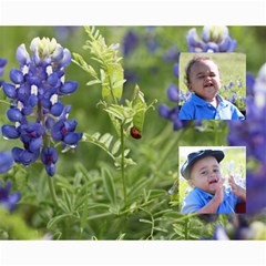 EThan In Blue Bonnetts - Collage 8  x 10 