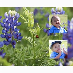 EThan In Blue Bonnetts - Collage 8  x 10 