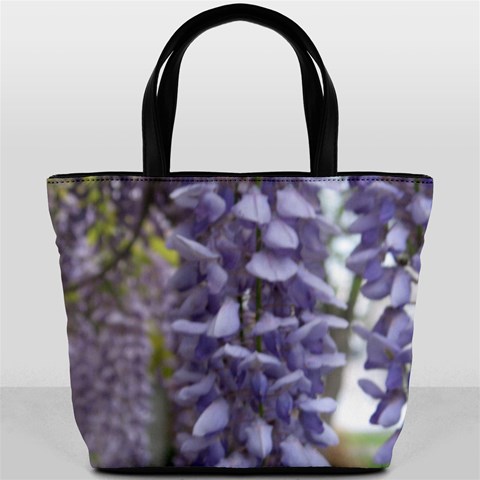 Purple Wisteria By Heatherlyn Kook Back