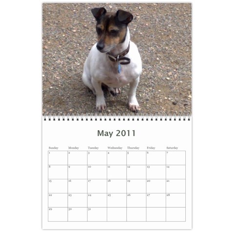 Kim Calendar By Kimberly Phelan May 2011