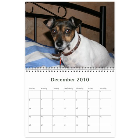 Kim Calendar By Kimberly Phelan Dec 2010