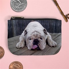 louie - Mini Coin Purse