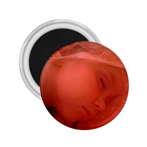 Magnet By Mary Stewart Front