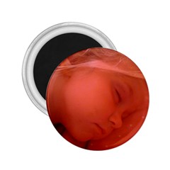 magnet - 2.25  Magnet