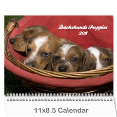 12 month puppies - Wall Calendar 11  x 8.5  (12-Months)