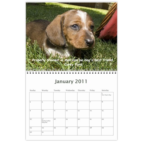 12 Month Puppies By Diana P Jan 2011
