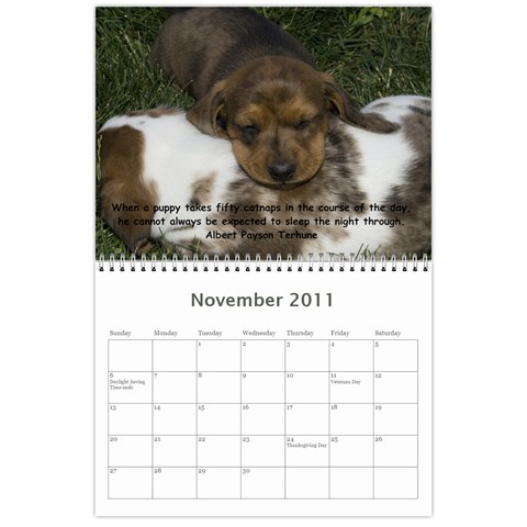 12 Month Puppies By Diana P Nov 2011