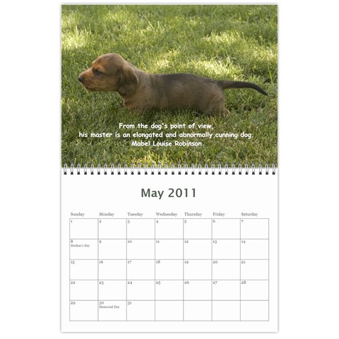 12 Month Puppies By Diana P May 2011