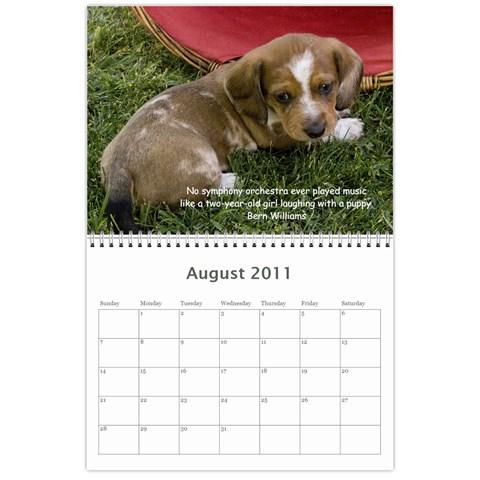 12 Month Puppies By Diana P Aug 2011