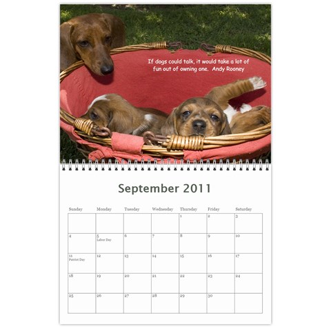 12 Month Puppies By Diana P Sep 2011