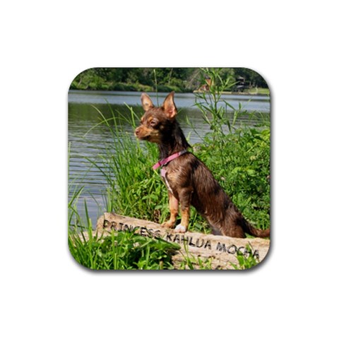 Kahlua By Jessica Huettl Front