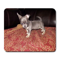 Chloe 11 weeks - Large Mousepad