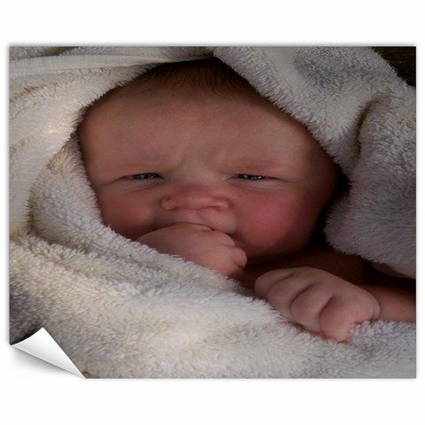 Kaden By Regina 15.75 x19.29  Canvas - 1