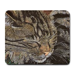 Beautiful Dreamer mousepad - Large Mousepad