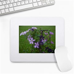 Clamatis flower - Large Mousepad