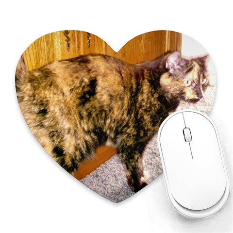 Jennifer s Cat Soda By Susan Budds Front
