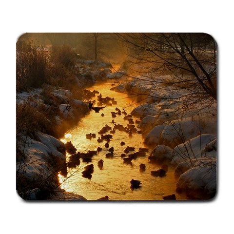 Landing In The Creek By Martha Fillion Front