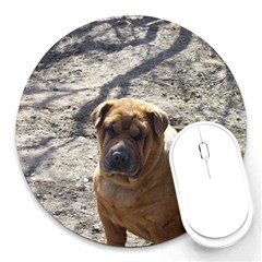 Sheba Lou - Round Mousepad