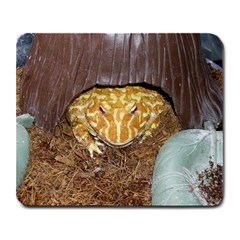 Packy - Large Mousepad