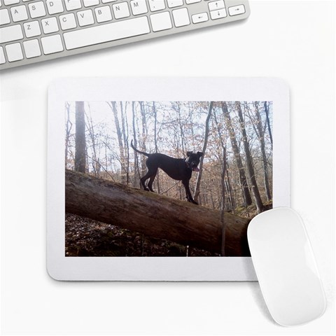 Nature Dog By Meagan Coleman Front