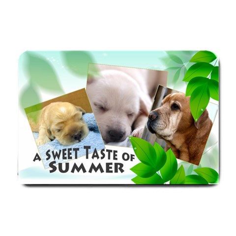 Summer Doormet By Wood Johnson 24 x16  Door Mat