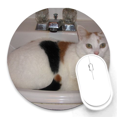 Kiki In The Sink By Patti Troyer Stevens Front