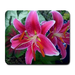 Stargazer - Large Mousepad