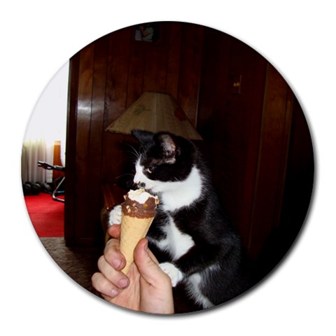 Stink Eating Ice Cream By Susan Thomas Front