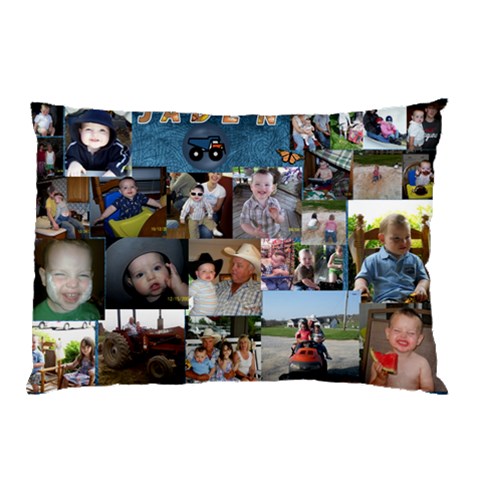 Jaden Pillow Case By Angela Emery 26.62 x18.9  Pillow Case