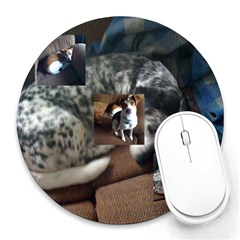 Dog Pad - Collage Round Mousepad