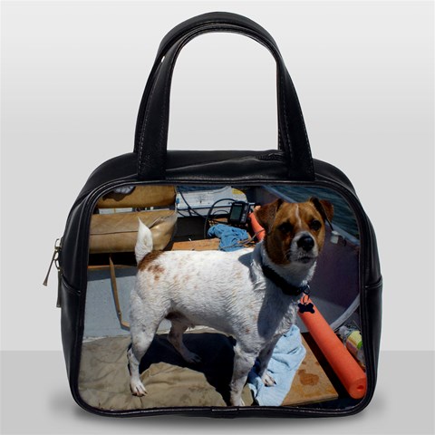 Our Pets By Stacey Back