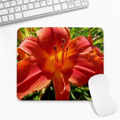 Flower Mousepad By Melissa Hoopingarner Front