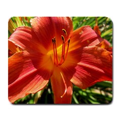 Flower Mousepad - Large Mousepad