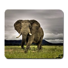 Al s New Mousepad - Large Mousepad