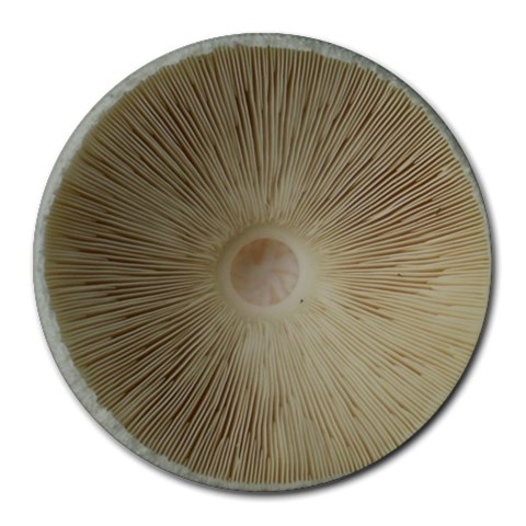 Mousepad Mushroom By Jan Miller Stratton Front