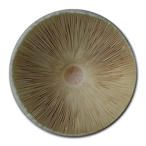 Mousepad Mushroom By Jan Miller Stratton Front