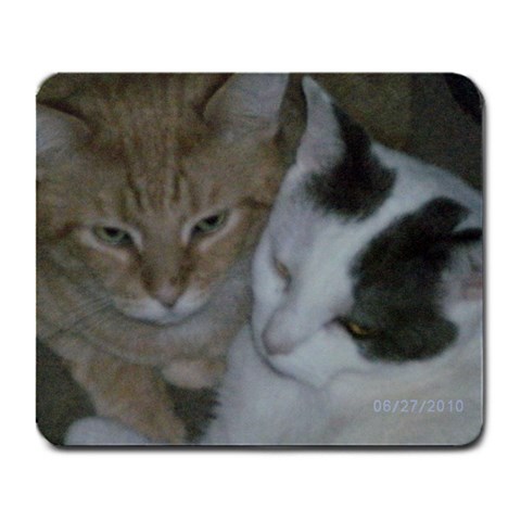 My Kitties By Cecilia Kennison Front