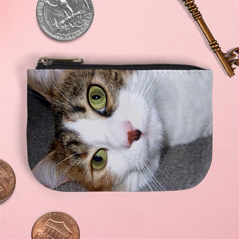 Lizard! On A Coin Purse  Yes, I Need A Life  By Kristyl Front