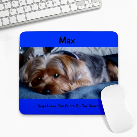 Max By Kimberly Stuckman Lewis Front