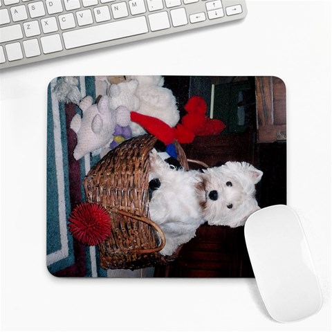 Meme In The Toy Box By Pam Evans Front