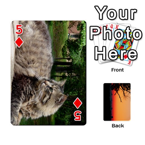 Playing Cards By Jessica Meadows Front - Diamond5