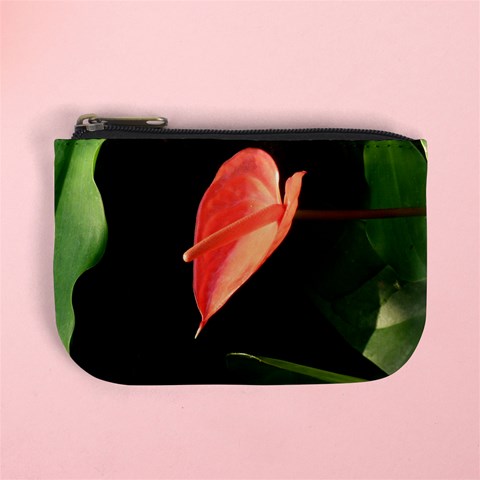 Eden Mini Purse By Catvinnat Front