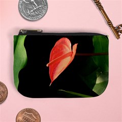 Eden mini purse - Mini Coin Purse