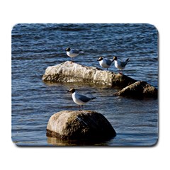 Gulls On Stones - Large Mousepad